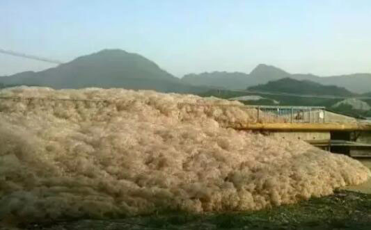 (圖:水處理起泡場景)