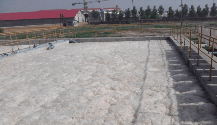 (圖:污水廠泡沫池現場)