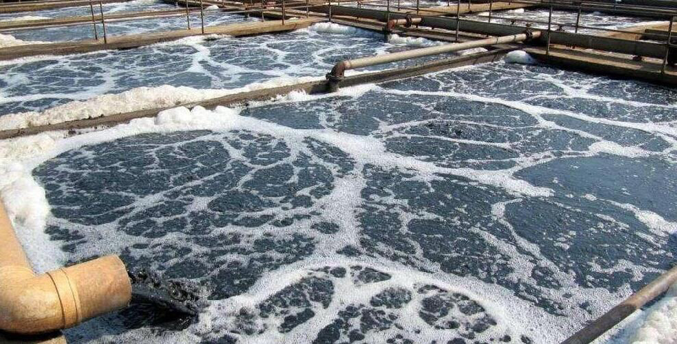 (圖:市政直排污水起泡現場)