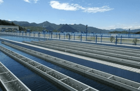 （生物水處理消泡劑應用場景）